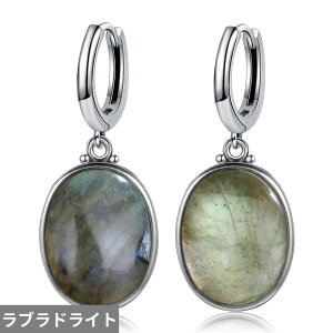 yN[|p5620~z y_g sAX Vo[ Io[ Vv fB[X 10x14mm 傫 i` uhCg ^[RCY GKg  Mtg