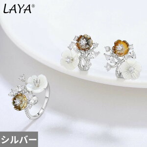 yN[|p22820~z sAX w O  zCg  ubN  t[ WRjA uC_ Vo[ sN fB[X Nbv 925 X^[O VCjO WR 