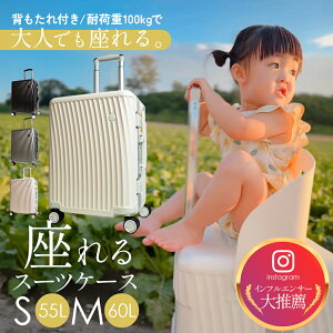 X[cP[X L[P[X ֎q X[cP[X  qA X[cP[X q  STCY MTCY w q悹 X[cP[X A~t[ TSAbN É ω׏d 100kg