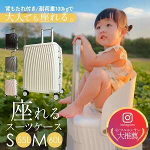 X[cP[X  X[cP[X L[P[X ֎q X[cP[X  qA X[cP[X q  STCY MTCY w q悹 X[cP[X A~t[ TSAbN 