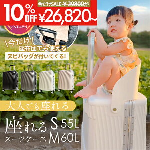 X[cP[X  L[P[X ֎q X[cP[X  qA q  STCY MTCY w q悹 X[cP[X A~t[ TSAbN ω׏d 100kg q COs 