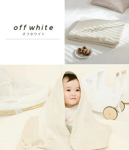 K[[Pbg { xr[ 6dK[[  uPbg K[[ 100