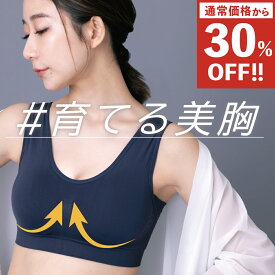 最大15%OFFクーポン【公式】育てる美胸 ナイトブラ anan掲載 emavis エマビスナイトブラ 育乳 ノンワイヤー シームレス 脇高 ブラジャー ブラ 昼夜兼用 バストアップ 大きいサイズ 小さいサイズ 産後 スポーツ 補正下着 ヨガ 夏用 ピラティス