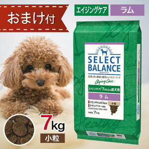 ZNgoX GCWOPA   7kg ybgt[h   ܂ t y hbOt[h a GT  7 ȏ   VjA ᎉb J[ ֐  RGU