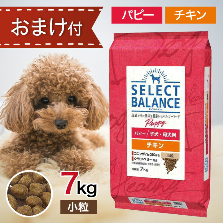 楽天市場】【2時間限定！早い者勝ち10%OFFクーポン配布中！】 セレクト 