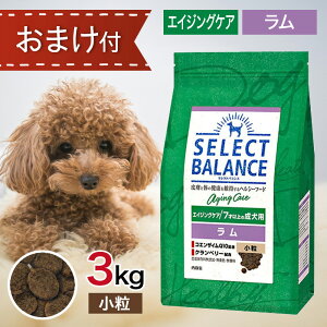 y2500~N[|z ZNgoX GCWOPA   3kg ybgt[h ܂ t y hbOt[h a GT  7 ȏ   VjA ᎉb J[ ֐ 