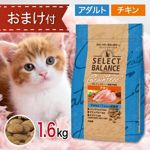 y2500~N[|z ZNgoX L OCt[ A_g `L 1.6kg ybgt[h ܂ t y Lbgt[h a GT L S A ы N Ɖu Y 