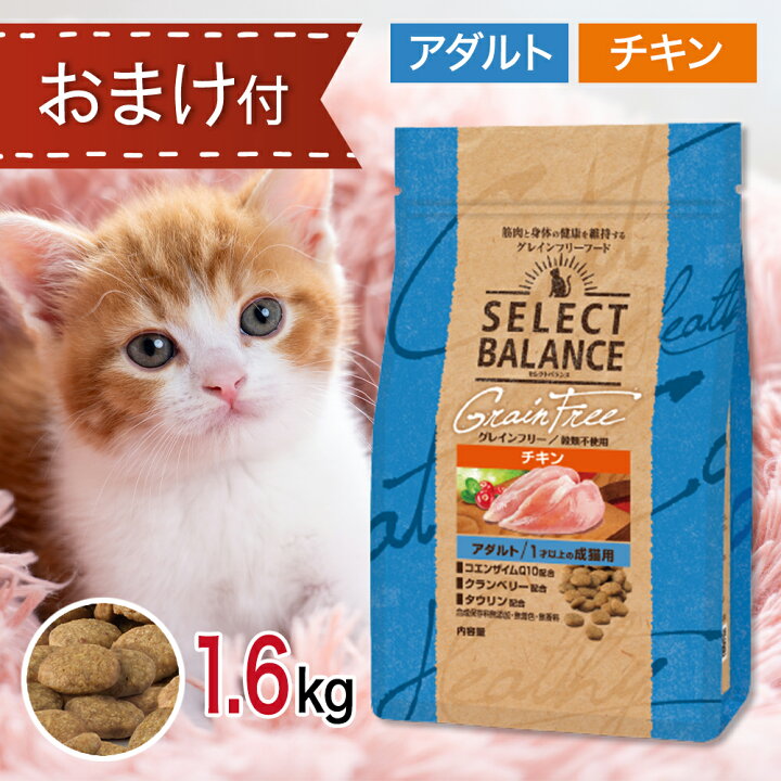 楽天市場】【2時間限定！早い者勝ち10%OFFクーポン配布中！】 セレクト 