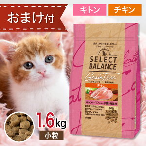 y2500~N[|z ZNgoX L OCt[ Lg `L  1.6kg ybgt[h ܂ t y Lbgt[h a GT 12 qL L A ы Ɖu Y 1