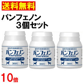 【2,000円引きクーポン】【賞味期限2026年1月31日以降】パンフェノン 120粒×3個セット あす楽