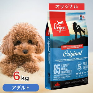 IW IWi A_g 6kg ybgt[h yKiz y hbOt[h a    VjA S SN OCt[ ^pN Y GI N lHIYsg