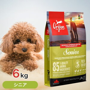 y6ԌIҏ10%OFFN[|zzIz IW VjA 6kg ybgt[h yKiz y hbOt[h a GT    V VjA S OCt[ ^pN 