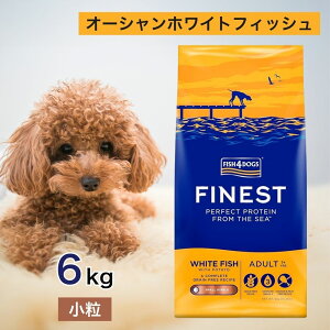 tBbV4hbO I[VzCgtBbV  6kg ybgt[h y hbOt[h a    VjA ア FISH4DOGS z AM[ GI Y F s