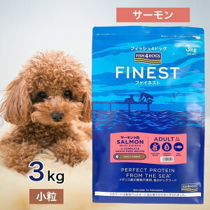 tBbV4hbO t@ClXg T[  3kg ybgt[h y hbOt[h a GT    VjA FISH4DOGS AM[ GI ̏dǗ R_ IK3 Y F 
