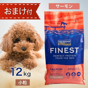 ytBbV4g[ctz tBbV4hbO t@ClXg T[  12kg ybgt[h y hbOt[h a GT  q   VjA FISH4DOGS GI Y F sg