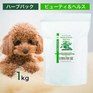 [J Aj} A[F[_ r[eB  wX n[u pbN 1kg y p  wAPA R[eBO eiX {[Abv 畆  r ɂ   