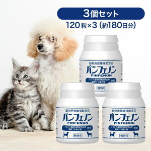 y2,000~N[|z ptFm 120×3Zbg ybgTv y Tvg Tv { Y XPANE  L  L ybg  N⏕Hi   畆 S