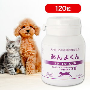 ORT~ 悭 120 ybgTv y Tvg Tv { Y XPANE  L  L ybg  N⏕Hi   ֐ Ғ N Nێ O