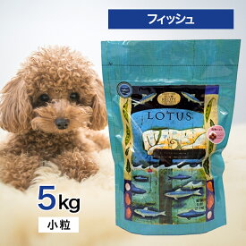 【2時間限定！早い者勝ち10%OFFクーポン配布中！】 ロータス グレインフリー フィッシュ レシピ 小粒 5kg ペットフード あす楽 ドッグフード 餌 エサ 犬 成犬 1歳 から 6歳 DHA EPA オメガ3 オメガ6 ヒューマングレード オーブンベイク 健康 免疫 筋肉 5キロ