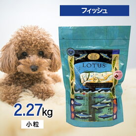【2時間限定！早い者勝ち10%OFFクーポン配布中！】 ロータス グレインフリー フィッシュ レシピ 小粒 2.27kg ペットフード あす楽 ドッグフード 餌 エサ 犬 成犬 1歳 から 6歳 DHA EPA オメガ3 オメガ6 ヒューマングレード オーブンベイク 健康 免疫 筋肉 2.27キロ
