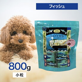 【2時間限定！早い者勝ち10%OFFクーポン配布中！】 ロータス グレインフリー フィッシュ レシピ 小粒 800g ペットフード あす楽 ドッグフード 餌 エサ 犬 成犬 1歳 から 6歳 DHA EPA オメガ3 オメガ6 ヒューマングレード オーブンベイク 健康 免疫 筋肉 800グラム