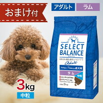 楽天市場】ドッグフード 3キロの通販