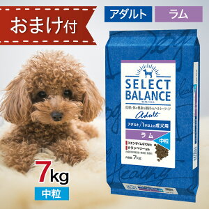 �������� �Z���N�g�o�����X �A�_���g ���� ���� 7kg �y�b�g�t�[�h ���܂� �t�� �h�b�O�t�[�h �a �G�T �� 1�Έȏ� ���� 7�L��