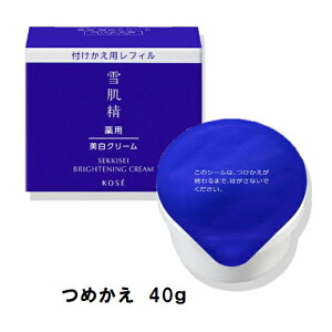 R[Z[@pᔧ uCgjO N[@߂@40g@i򕔊Oij@yPA ێ@ ݃PAz