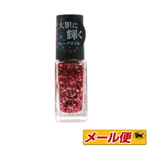 y5܂ŃlR|XzR[Z[@lCzbN(NAILHOLIC)@p[eB[t[N@SP024@5mL