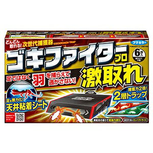 yt}L[z SLt@C^[ v  6 ypiz