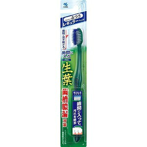 yѐz t ԂɓuV M[ ӂ 1{ (F̎ws) ypiz