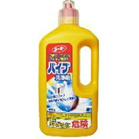 【第一石鹸】 ルーキー パイプ洗浄剤 800g 【日用品】