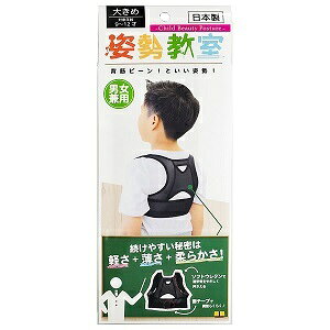 �y�e���R�[�|���[�V�����z �p�������@�傫�� �y�q���p�i�z