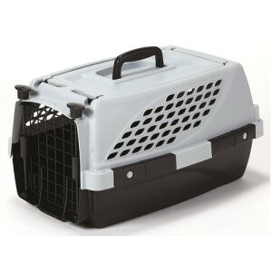 yXyNguYz t@[XgbNX ybgXC[g S O[ 1R ypiz