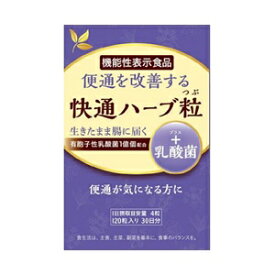 【あす楽対応】快通ハーブ粒＋乳酸菌　120粒