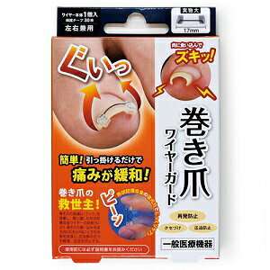 yTCvXz ܃C[K[h 1P yqpiz