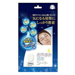 yTCvXz n₷ݔԃV[g 24 yϕiz