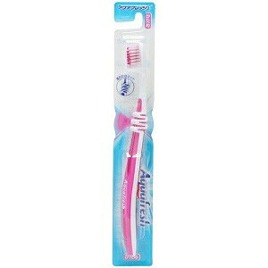 yON\EX~XNCz ANAtbV uV  1{ (F̎ws) ypiz