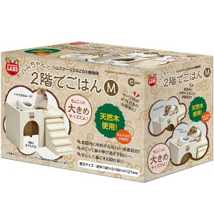 y}Jz ~j}ObY n2Kł͂ MTCY 1R ypiz