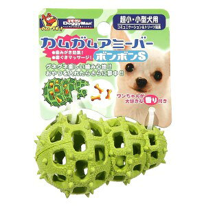 yhM[}z hM[} JKA~[o[ {{ STCY ypiz