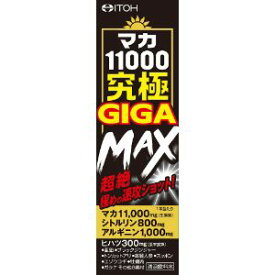 【あす楽対応】【井藤漢方製薬株式会社】 マカ11000究極GIGA MAX(50ml) 【健康食品】