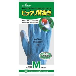 yV[O[uz sb^w MTCY u[ (1Zbg) ypiz