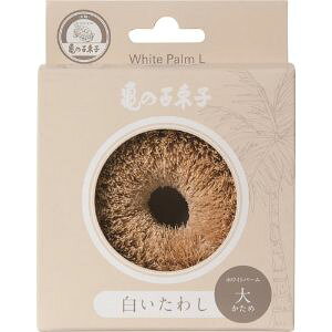 yT̎qq@Xz ^V zCgp[  (1) ypiz