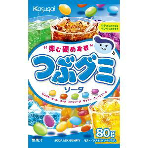 uZbg̔vut䐻فv@JԃO~\[_@80G×6Zbg