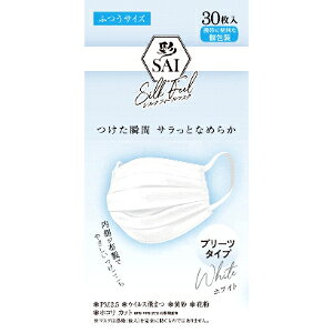 「日翔」 彩 シルクフィールマスク プリーツタイプ ふつうサイズ 30枚