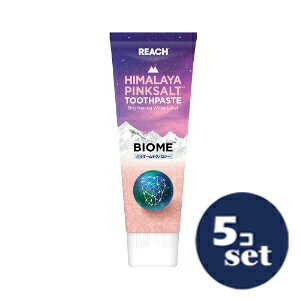 uZbg̔vuXet@j[vq}sN\g݂@oCI[`[u @100g@5Zbg