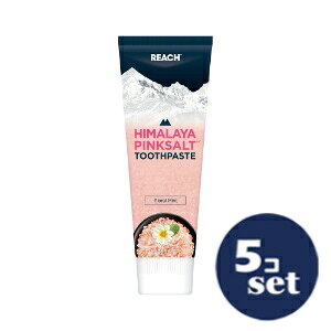 「セット販売」「銀座ステファニー」ヒマラヤピンクソルト歯みがき粉 フローラルミントチューブ 100g 5個セット