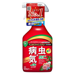 �uKINCHO���|�v �x�j�JX�t�@�C�� �X�v���[ 1L �y���p�i�z