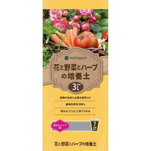 uvg[tv@ԂƖ؂ƃn[u̔|{y@3L