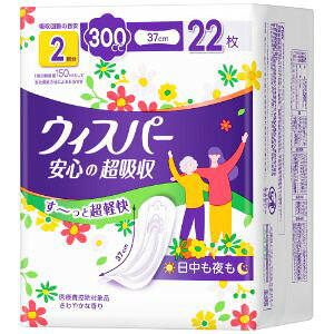 uP&GWpv@EBXp[S̒z@p@300CC@22